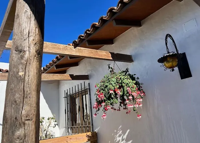 Zarzamora Canary Little Home